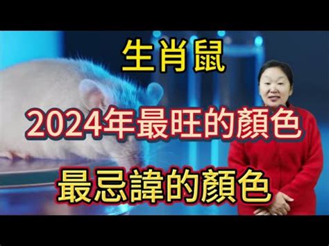 2024皮夾顏色生肖|【每月心測1】2024年12生肖財運皮夾色大公開！加碼。